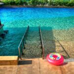 Understanding Saltwater Pools